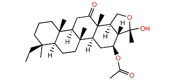 Phyllohemiketal A